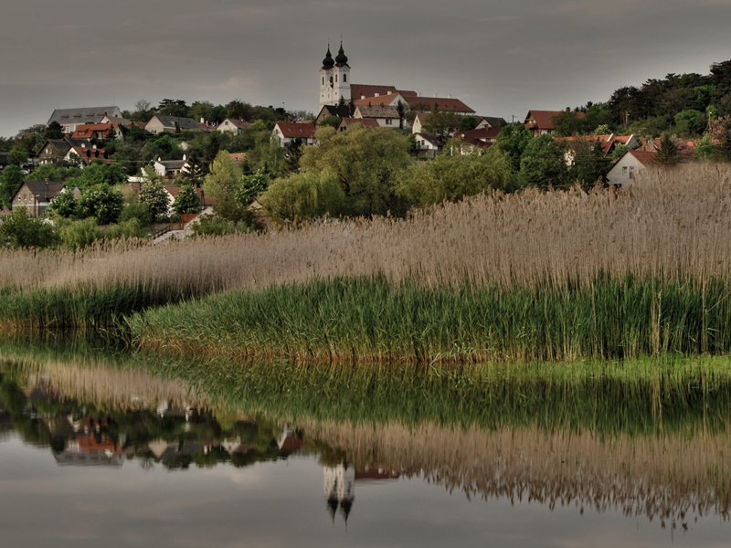 Tihany - Reed